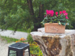 Toscana Galante 30 x 15 x 13 cm in der farbe terracotta – Bild 2