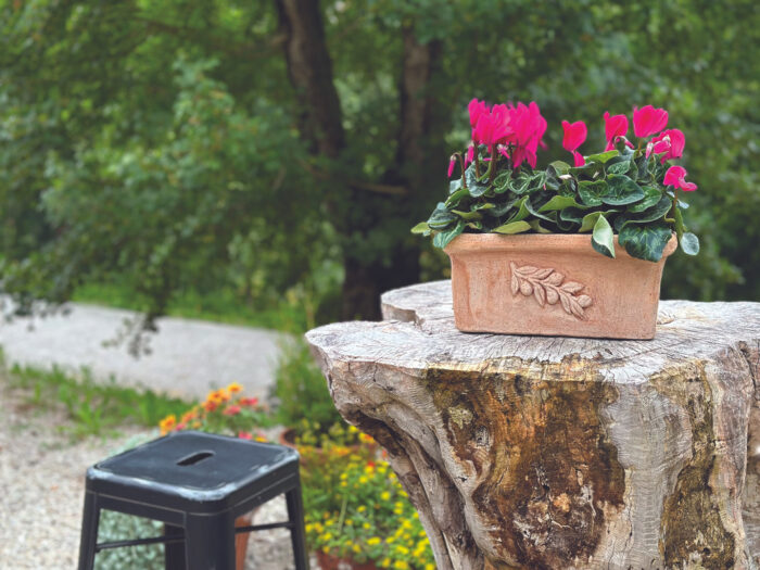 Toscana Galante 30 x 15 x 13 cm in der farbe terracotta – Bild 2