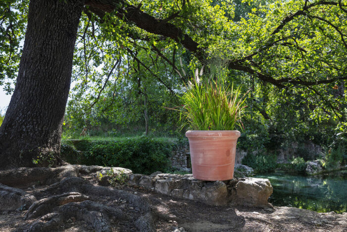 Cilindro Liscio Montelupo 44 x 50 cm in der farbe terracotta – Bild 2