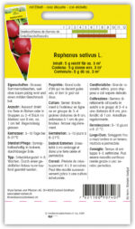 Radies 'Riesenbutter'