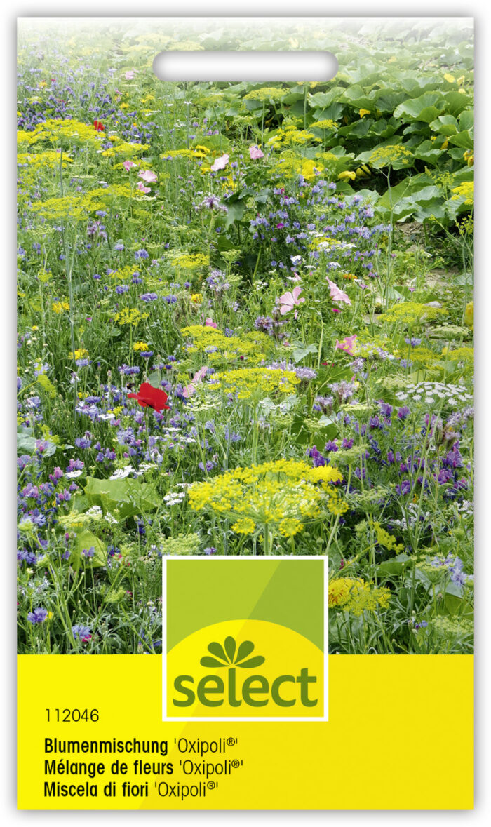 Blumenmischung Oxipoli – Bild 2