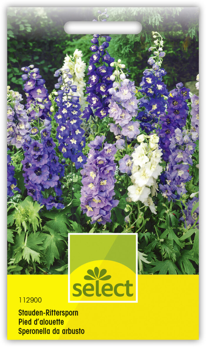 Delphinium Staudenrittersporn Farbenmisch. – Bild 2