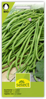 Bio VK Buschbohne 'La Victoire'