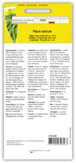 Auskernerbse 'Picollo kl. Rheinländerin' – Bild 2