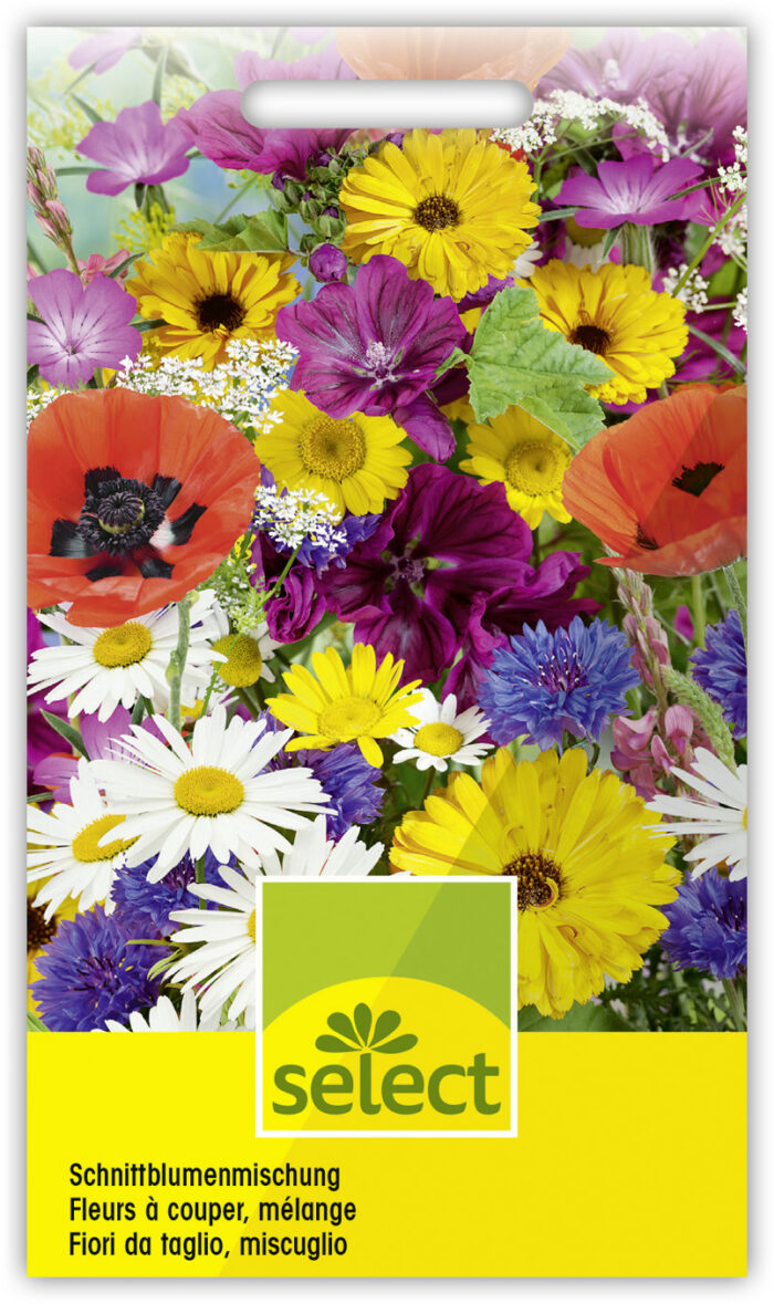 Schnittblumen Prachtmischung einjährig – Bild 2