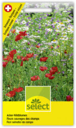 Acker-Wildblumen