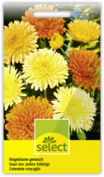 Calendula Ringelblume gefüllt gemischt