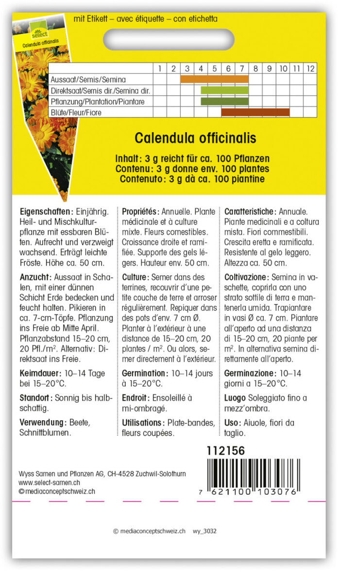 Calendula officinalis'Ringula'einfach – Bild 2