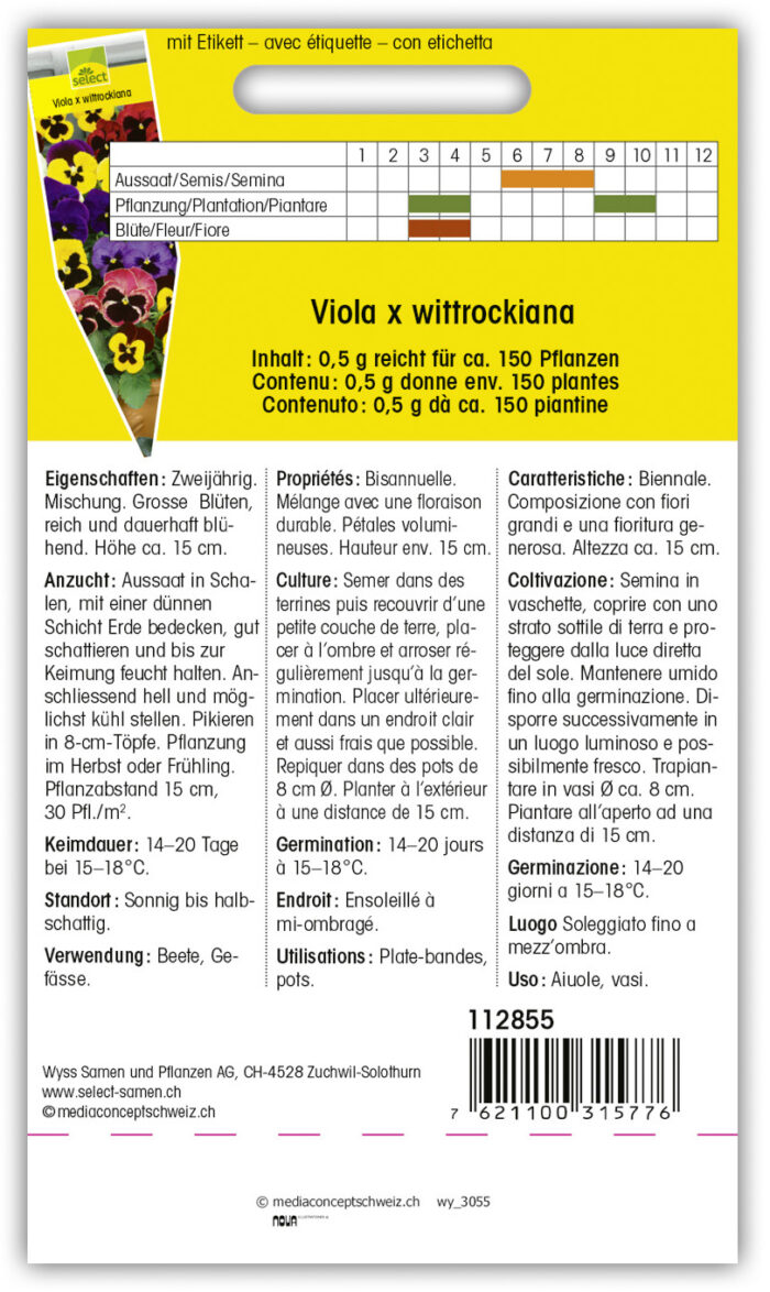 Viola Weltriesen Prachtmischung Stiefm. – Bild 2