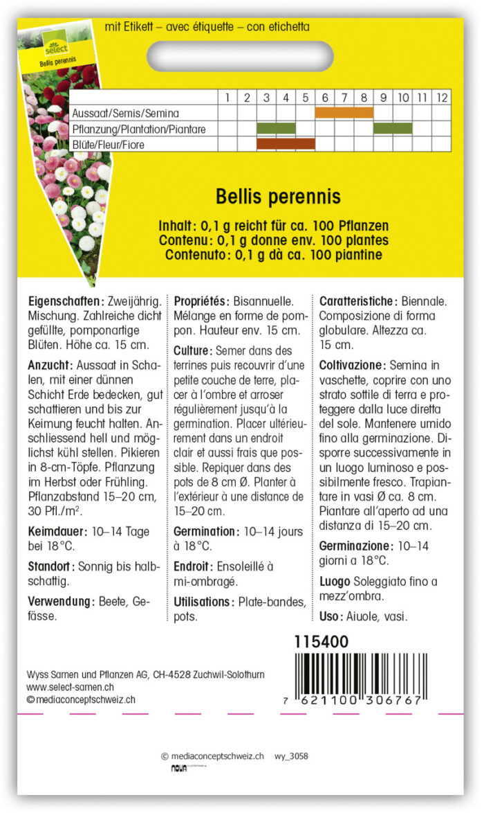 Bellis 'Pomponette' gefüllt kleinbl. Mg – Bild 2