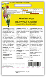 Antirrhinum Halbhohes Löwenmaul Mischung – Bild 2