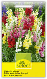 Antirrhinum Halbhohes Löwenmaul Mischung