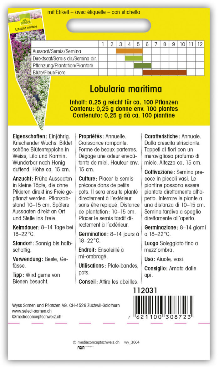 Lobularia 'Easter Basket' Steinkraut – Bild 2