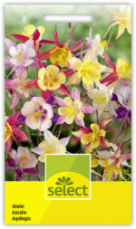 Aquilegia-Hybriden Akelei Prachtmischung