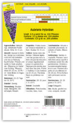 Aubrieta-Hybriden Blaukissen nieder – Bild 2