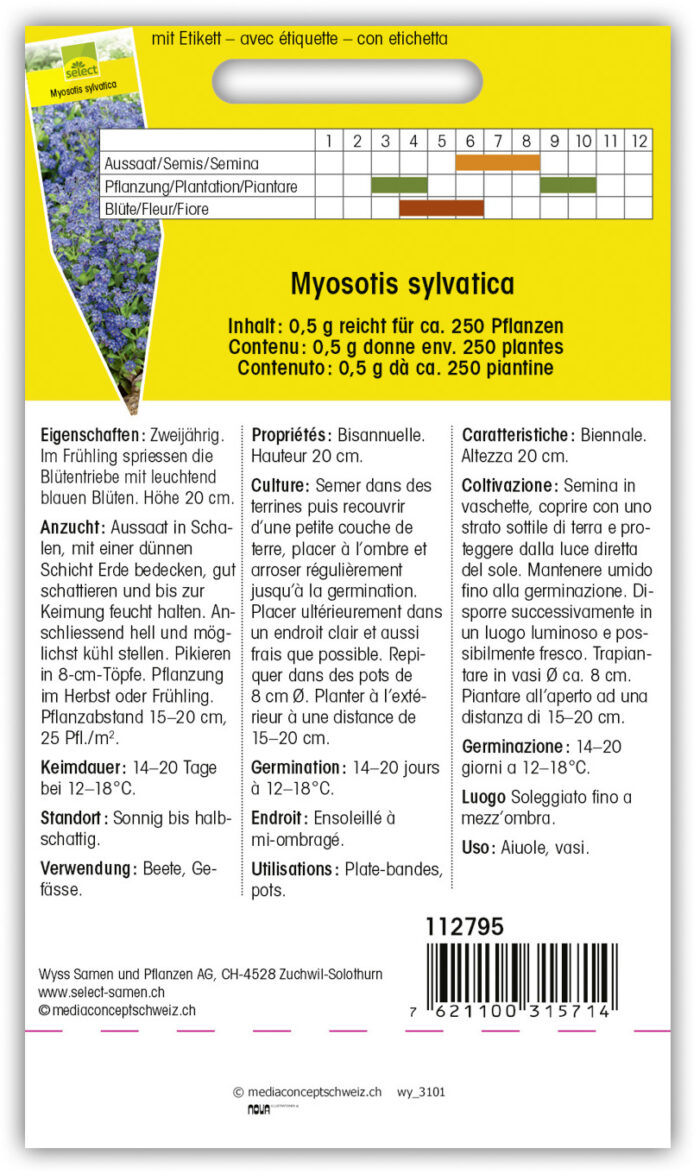 Myosotis 'Indigo' Vergissmeinnicht blau – Bild 2