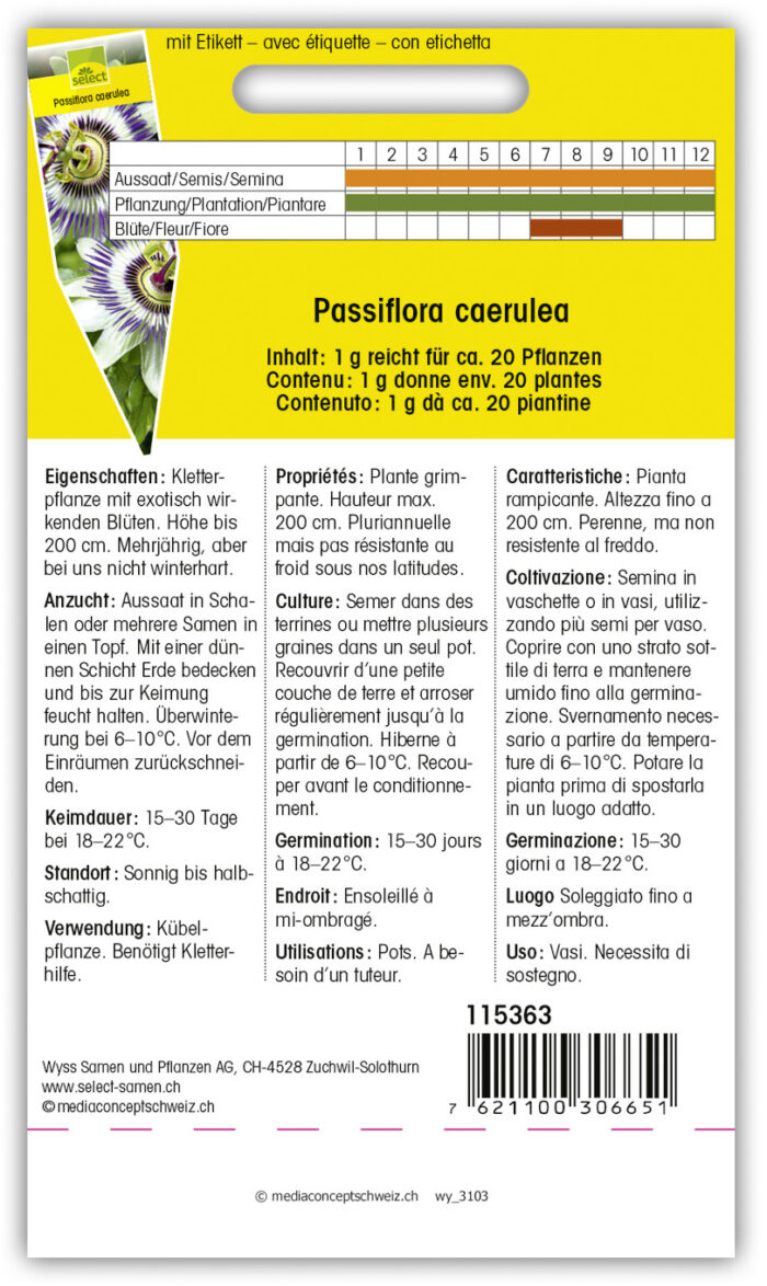 Passiflora caerulea Passionsblume – Bild 2