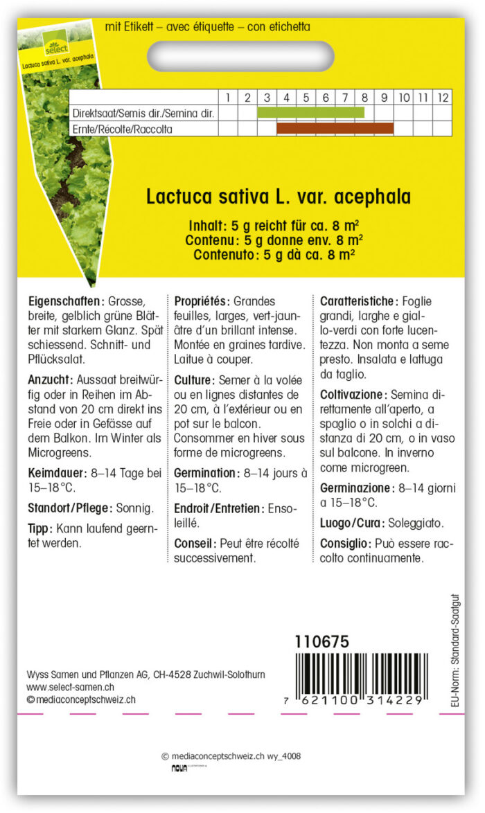Pflücksalat 'Australischer Gelber' – Bild 2
