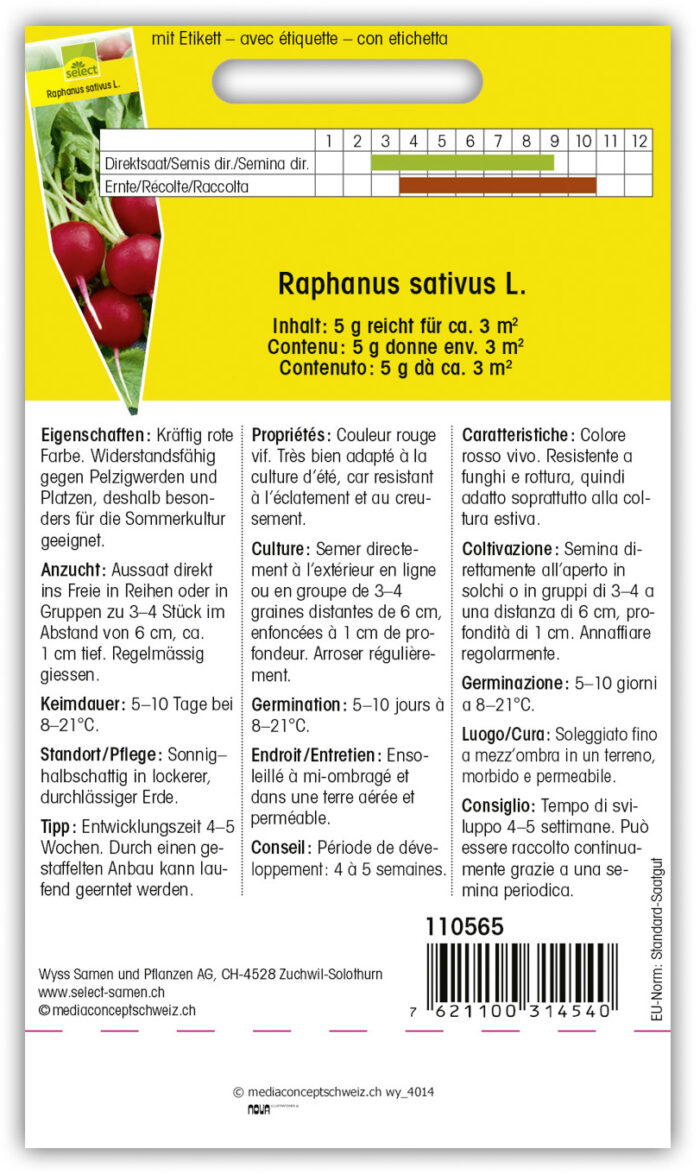 Radieschen 'Carnita' – Bild 2