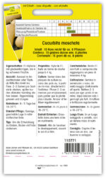 Kürbis 'Early Butter Nut F1' – Bild 2