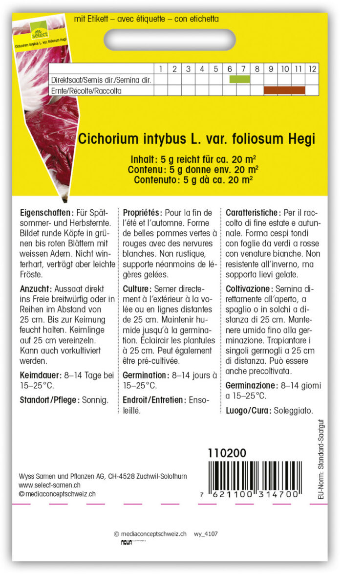 Kopfzichorie 'Palla Rossa' – Bild 2
