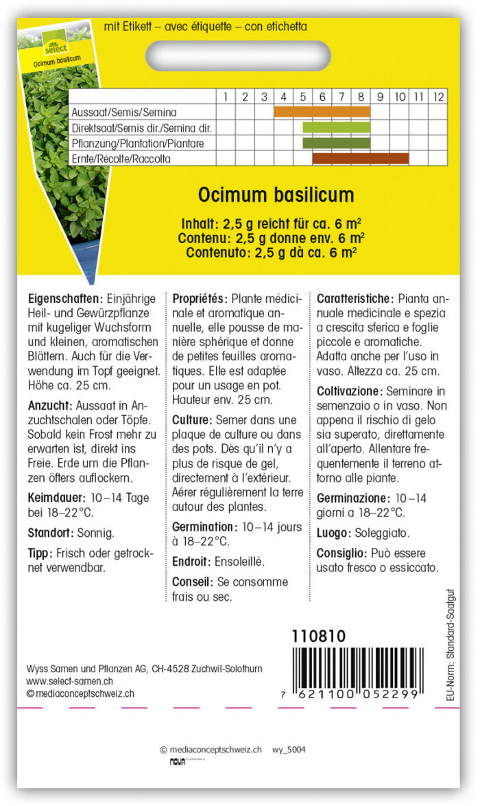Basilikum 'Griechischer' – Bild 2